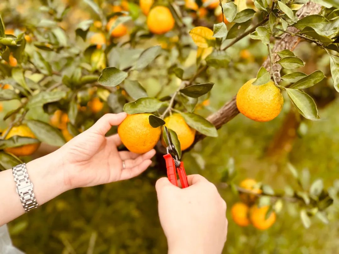 20231031c.jpg 20231031c.jpg